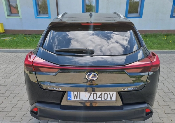 Lexus UX cena 115900 przebieg: 111477, rok produkcji 2020 z Frampol małe 407